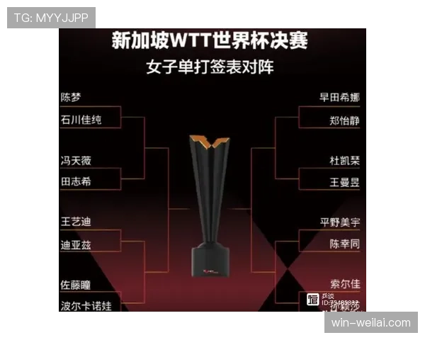 世界杯小组赛焦点赛事团队作战能力评估